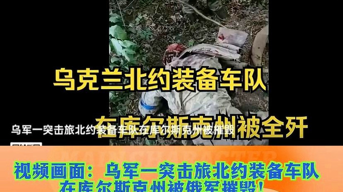 俄军摧毁乌军一支北约装备车队