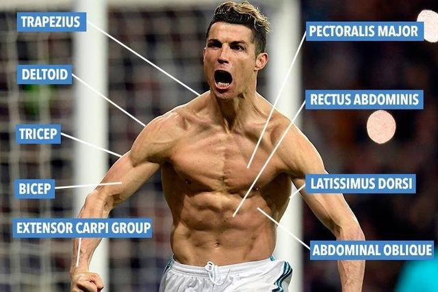 C罗肌肉怎么训练成的，揭秘足球巨星的健身秘诀